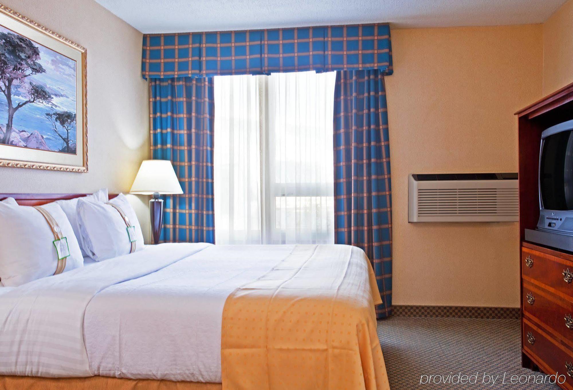 Holiday Inn Chicago - Elk Grove, An Ihg Hotel Elk Grove Village Room photo